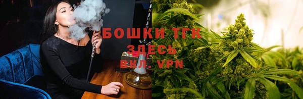 МДПВ Белокуриха