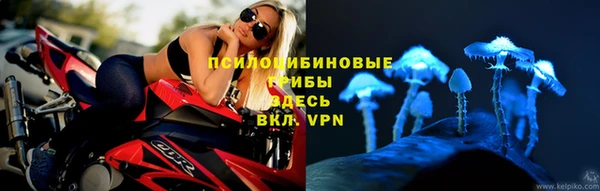 spice Беломорск