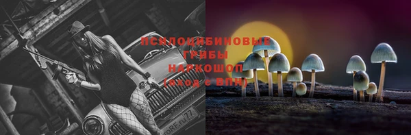 МДПВ Белокуриха
