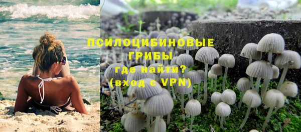spice Беломорск