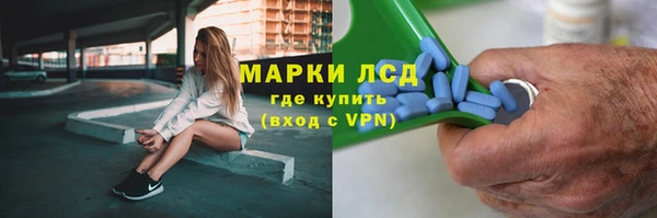 ГАЛЛЮЦИНОГЕННЫЕ ГРИБЫ Сосновка