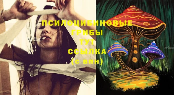 spice Беломорск
