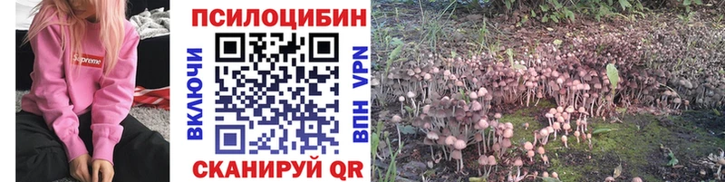 купить   shop клад  Галлюциногенные грибы мицелий  Кондопога 